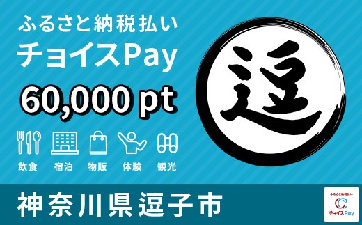 
            逗子市チョイスPay 60,000ポイント【会員限定のお礼の品】
          
