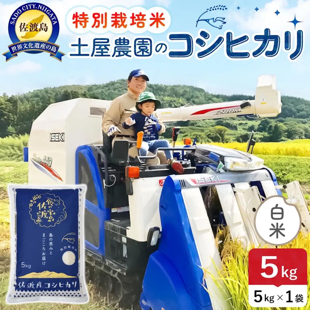佐渡島産コシヒカリ 白米 5kg 令和8年産 特別栽培米 土屋農園 195962-031302