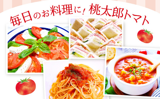 トマトパスタ、ミネストローネ、サンドイッチ、サラダ、カプレーゼなど、毎日のお料理にたっぷり使えます！