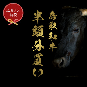 Y291 【和牛セレブ】鳥取和牛半頭分（一括配送） 