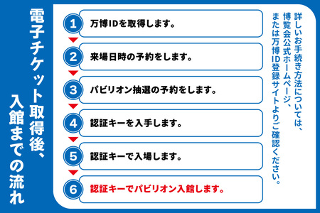 大阪関西万博通期パス 中人 (満12歳以上満17歳以下の方の入場チケット) 2025年4月13日から2025年10月3日まで、毎日11時以降何度でも入場可能。｜中人通期パス 万博 チケット EXPO 