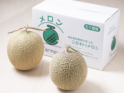 【先行予約】石下農園のメロン 赤肉 Lサイズ 2玉 ｜ 果物 くだもの フルーツ メロン 国産 クインシーメロン 赤肉 赤肉メロン 旬 期間限定 季節限定 夏季限定 産地直送 栃木県 芳賀町※2025