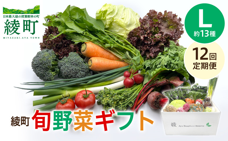 
            【12回定期便】綾町旬野菜ギフト〈 Lサイズ/約12-13種 〉4人以上分 産地直送 野菜セット 詰め合わせ 新鮮 有機栽培 旬 採れたて 野菜定期便 野菜 人参 トマト じゃがいも 玉ねぎ きゅうり 芋 小松菜 大根 キャベツ キノコ等 野菜 定期便 12ヵ月 12ヶ月 送料無料 【オーガニックのまち 宮崎県綾町】
          
