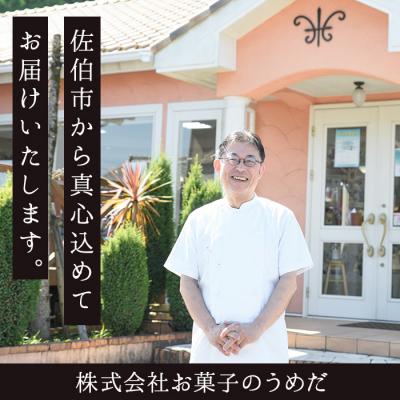 ふるさと納税 佐伯市 米粉のどらやき おおいたどら (計10個) |  | 03