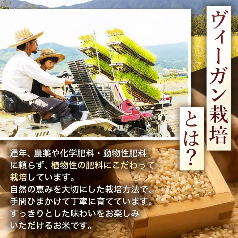 令和8年 新米 玄米 ひのひかり 5kg 6ヶ月定期便 ぶんぶんファーム