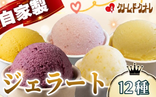 手作り ジェラート 12種 セット アイス アイスクリーム じぇらーと  詰め合わせ 食べ比べ  スイーツ 柑橘 オレンジ ブルーベリー イチゴ 紅ほっぺ 苺 旬 季節 抹茶 茶 お茶 おやつ デザート シャーベット クリーム・ド・クオーレ 伊豆 静岡県 三島市