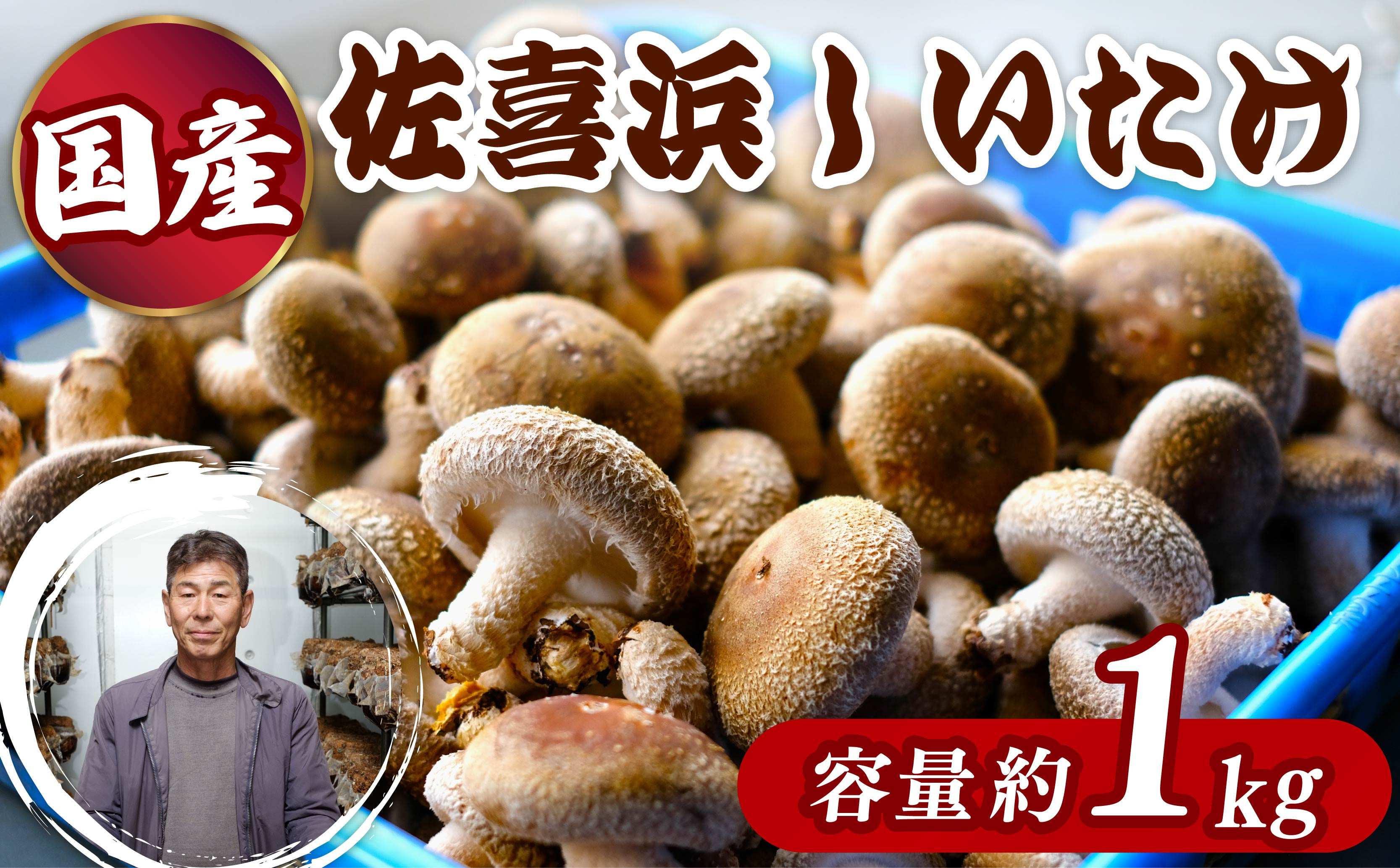 
            国産 佐喜浜しいたけ 約1㎏ 椎茸 しいたけ 肉厚 うまみ 菌床 きのこ キノコ 調理 料理 ごはん ご飯 10000円以上 1万 高知県 
          