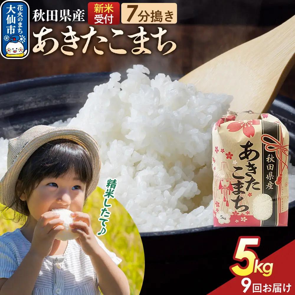 《令和8年産新米予約》 《定期便9ヶ月》【7分搗き】あきたこまち 5kg 秋田県産 こまちライン 秋田県 大仙市産