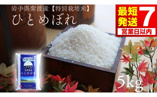 【7営業日以内発送】ひとめぼれ 5kg【特別栽培米】★令和7年産★ 安全 安心 環境保護 さめてもおいしい (AD045)