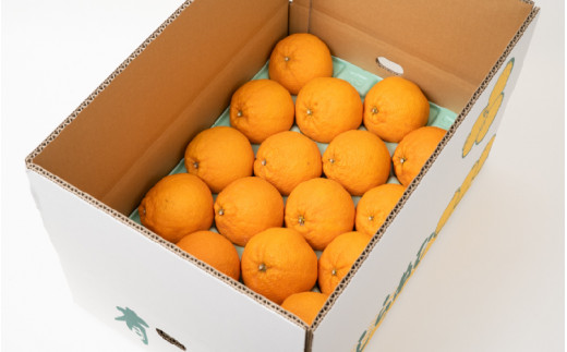 【先行予約】 ＼ みかんの名産地 和歌山県産／ 農家直送 不知火 約5kg(18～24玉) ひとつひとつ手選別で厳選【2025年2月中旬頃発送予定】 不知火 デコポン みかん 果物 フルーツ 柑橘 予