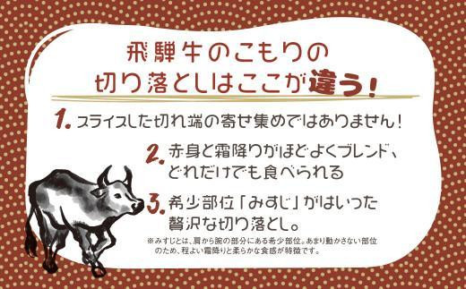 【12月配送（年内配送）】飛騨牛 切り落とし 300g×2パックセット みすじ ウデ すき焼き しゃぶしゃぶ  希少部位 600g 和牛 国産牛 発送時期が選べる 冷凍 飛騨高山 飛騨牛のこもり FC