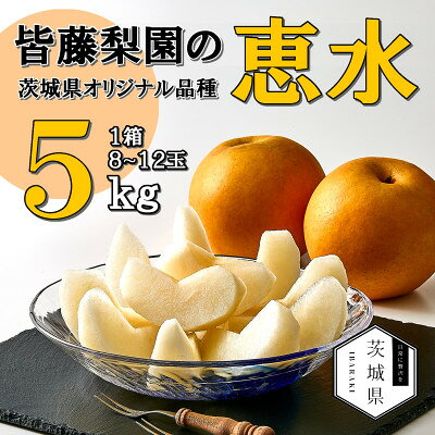 【ふるさと納税】【先行予約・数量限定】皆藤梨園 恵水　5kg(12～8玉) 　2026年8月下旬順次発送【配送不可地域：離島・沖縄県】【1758134】