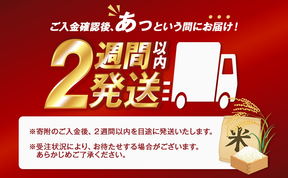 令和６年産北海道産ななつぼし10kg（5kg×2)【国産 白米 精米 お米 単一原料米 厳選 マイスター 生活応援 ななつぼし おすすめ 北海道 美唄市 美唄】
