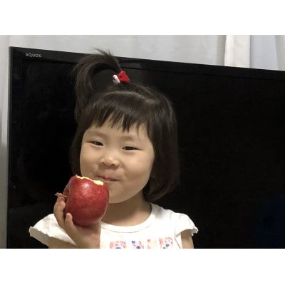 りんごと言えば、本場青森県産サンふじ、家庭用　5kg　14個前後入り　【1376645】