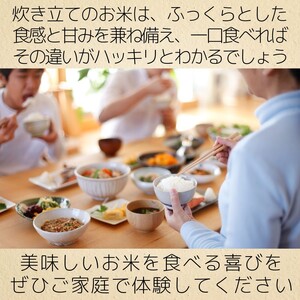 【ふるさと納税】新米 令和7年産 新潟県 上越市産 コシヒカリ 5kg 5キロ 精米 10月下旬より順次出荷 米 お米 白米