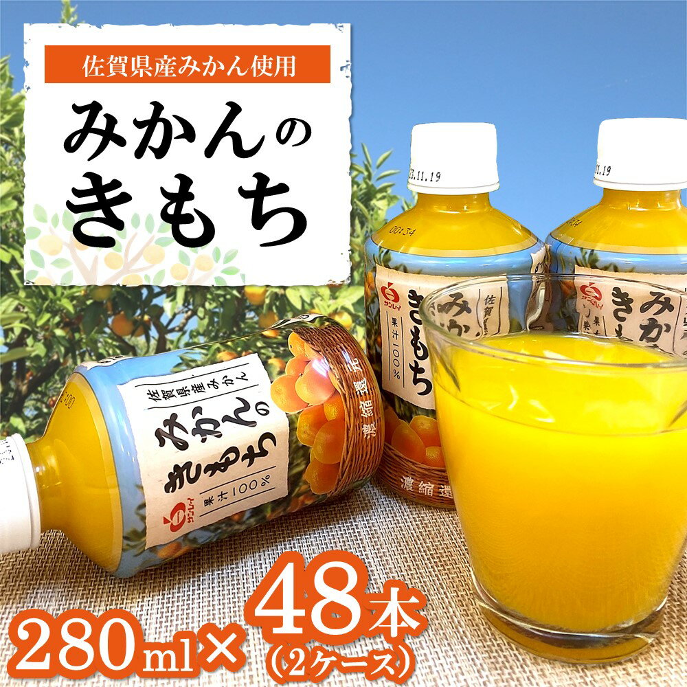 【ふるさと納税】みかんのきもち 280ml×48本(計2ケース)【JA みかんジュース さがみかん 果汁100％ 美味しい コク 飲みきり 280ml】B5-R012028