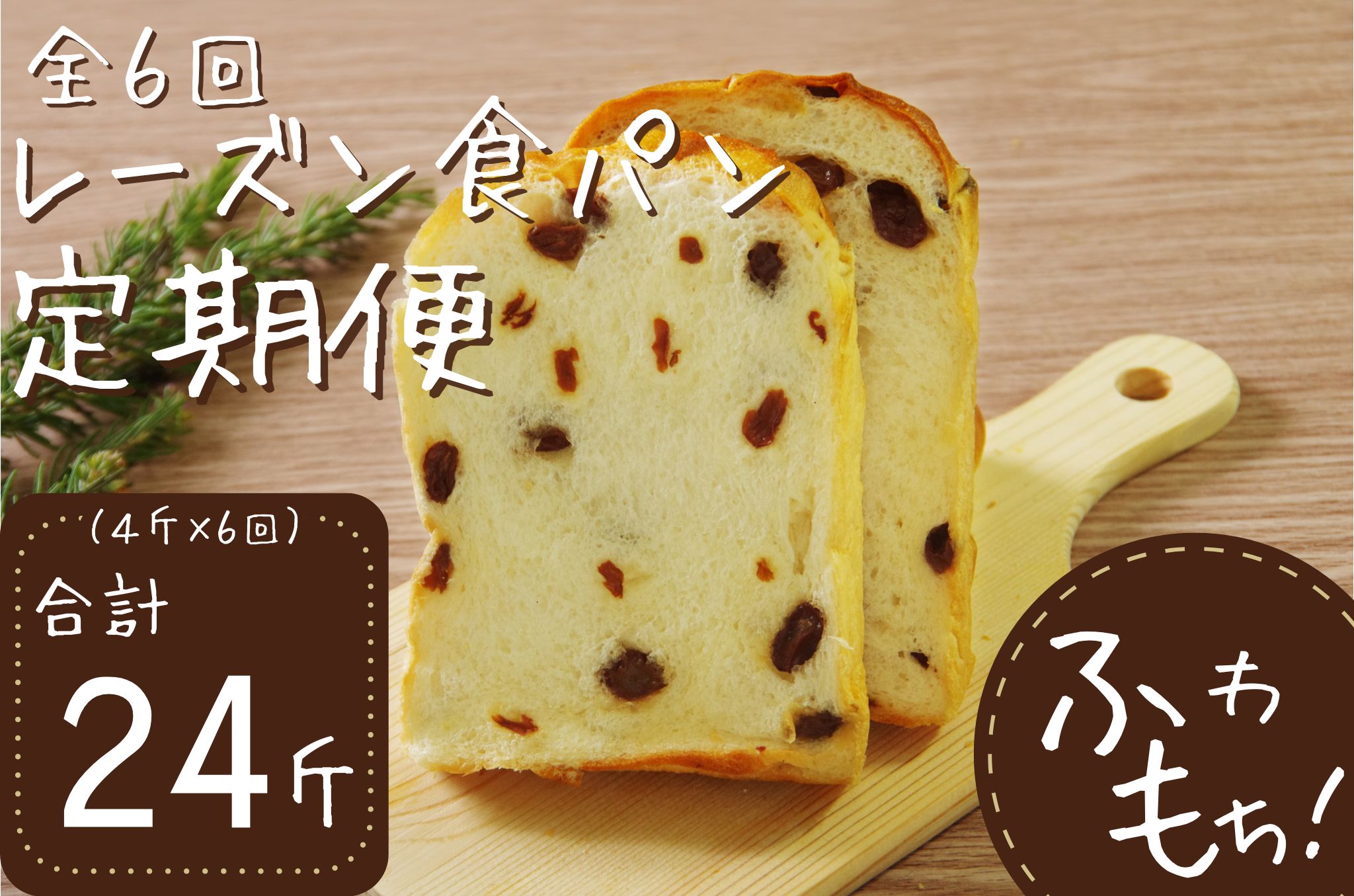 【室戸海洋深層水仕込み】レーズン食パン年６回定期便  食パン ぱん 朝食 ギフト 定期便 人気 食事パン おやつ レーズン ぶどう ドライフルーツ４斤×６回