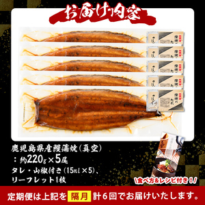 s737 【隔月・定期便6回】＼特大サイズ／ 鹿児島県産 鰻蒲焼真空セット！(計約6.6kg・約220g×5尾×6回) タレ・山椒付！ 鹿児島 九州産 国産 うなぎ ウナギ 鰻 土用の丑の日 蒲焼き 