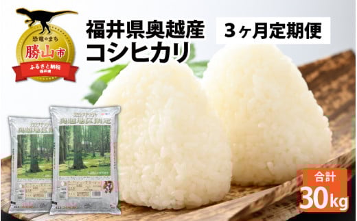 【3ヶ月連続定期便】令和7年産 福井県産奥越コシヒカリ5kg ×2袋（10kg × 3ヶ月） [J-015013]