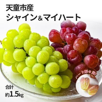 
                  08-10-054　ぶどう シャインマスカット＆マイハート約1.5kg (各600g～700g)
                