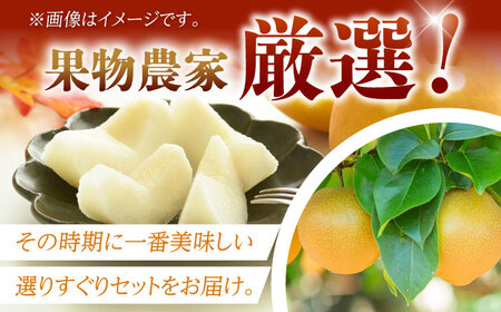 【8月上旬発送開始】 食べ頃品種を2種以上お届け! 梨 食べ比べセット 約5kg （5玉-18玉） / 梨 梨 梨 梨 梨 梨 梨 [AFAR027]