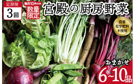
            ★レビューキャンペーン対象★宮殿の厨房野菜 おまかせ定期便 （3回） 六月農園 野菜 セット 産地直送 おまかせ 季節の野菜 旬 詰め合わせ 人気 限定 有機栽培 オーガニック 明和町 国産 リピート 定期便
          