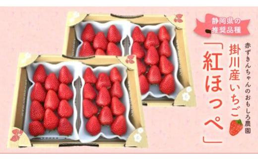 
                  紅ほっぺ 　約280g×4パック_いちご 苺 イチゴ 紅ほっぺ フルーツ 果物 送料無料 静岡県 掛川市【1704707】
                
