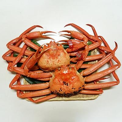 ふるさと納税 射水市 新湊産紅ズワイガニ・孫七タグ付き(約1kg×2尾)