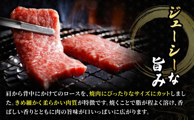 博多和牛 牛肉 焼肉 ロース 500g【肉のくまもと屋】