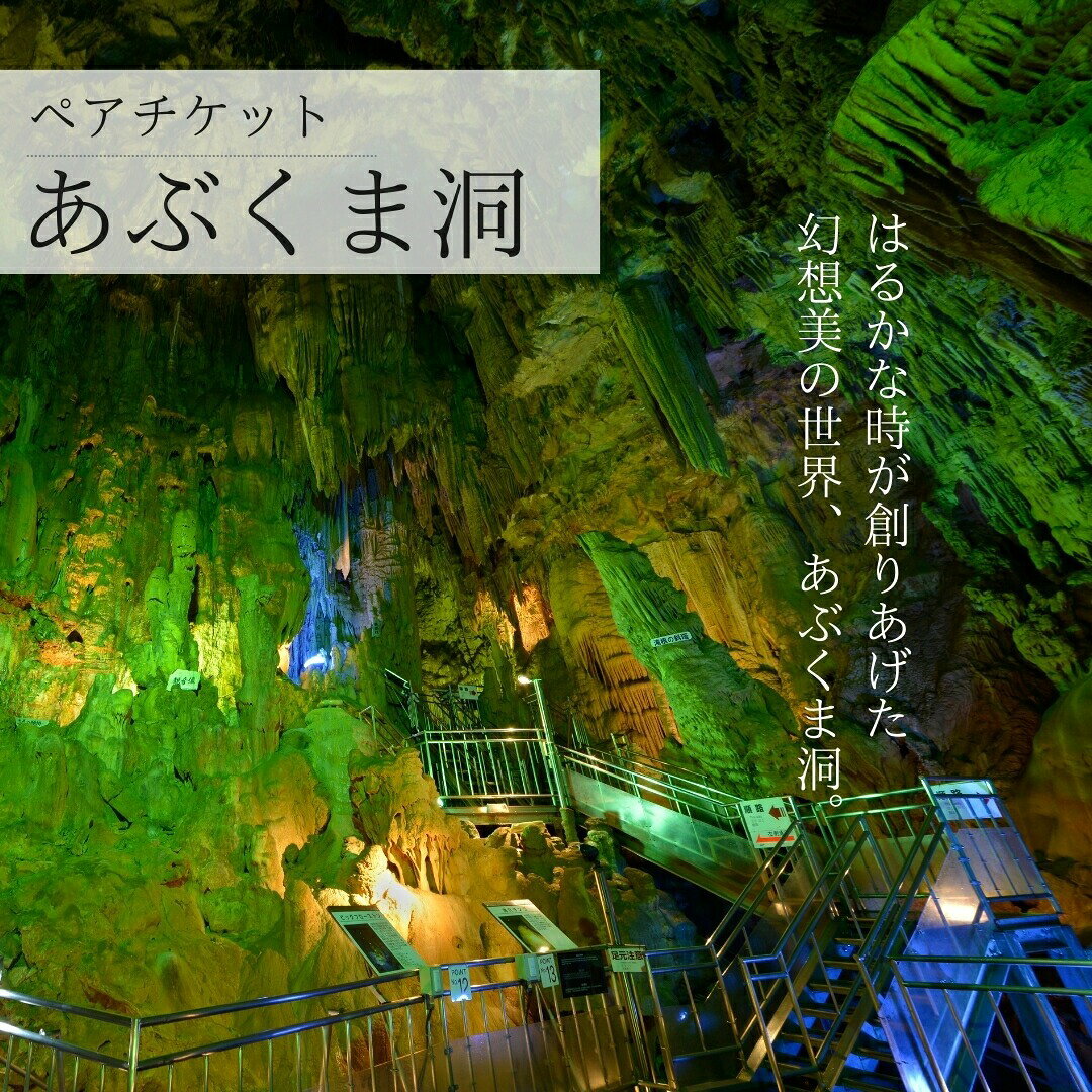 【ふるさと納税】あぶくま洞 探検コース付き入洞引換券 ペアチケット 体験 鍾乳洞 洞窟 地下 観光 歴史 自然 福島県 田村市 一般財団法人田村市滝根観光振興公社