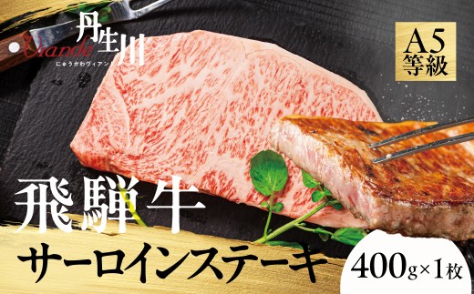 飛騨牛 A5等級 サーロインステーキ 400g 1枚 | ステーキ 黒毛和牛 ブランド牛 和牛 牛肉 豪華 真空パック 飛騨高山 丹生川精肉 JJ004