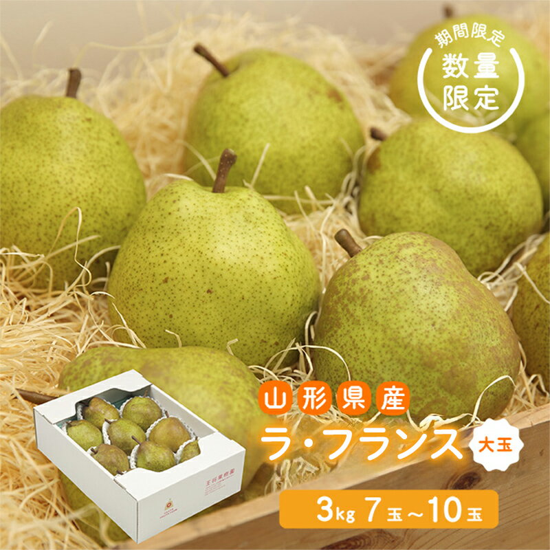 【ふるさと納税】《先行予約 2026年度発送》【王将果樹園】ラ・フランス大玉3kg～生産量日本一のまちより～ なし ナシ 梨 デザート フルーツ 果物 くだもの 果実 食品 山形県 FSY-2684
