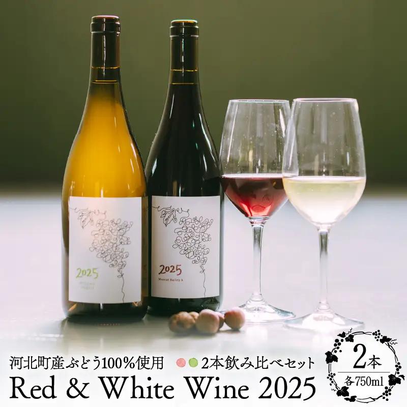ワイン 2025 赤白 2本飲み比べセット 750ml 各1本 ワイン