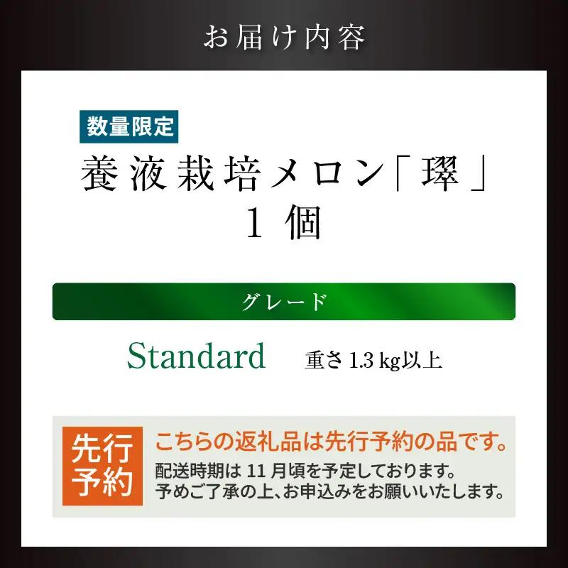 【先行予約】養液栽培メロン「璻」1玉【Standard】（重さ1.3㎏以上）｜メロン めろん フルーツ 常滑市
