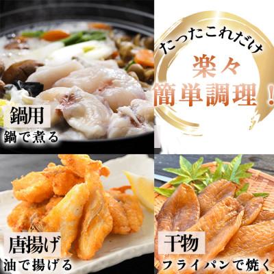 ふるさと納税 南知多町 純国産【唐揚げ・干物付き】 天然 白さばふぐ 6点セット 岬だより |  | 02