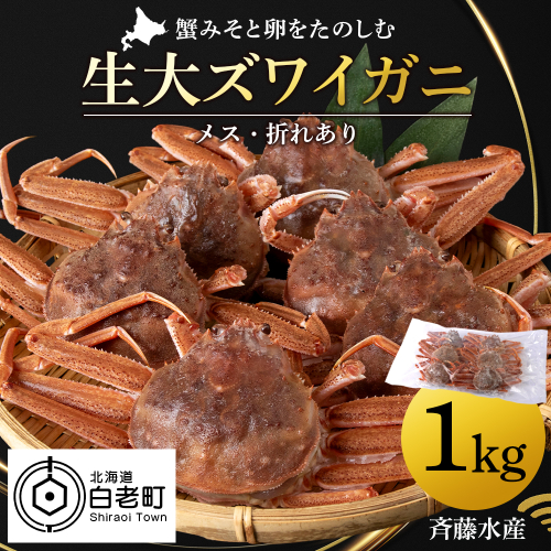 北海道産 生大ズワイガニ メス 1kg ずわいがに 蟹 〈斉藤水産〉