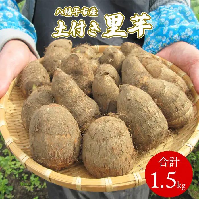 【2025年10月上旬から発送開始予定】 土付き 里芋 約1.5kg  ＜福祉事業所 ポパイの家＞  ／ さといも 里いも サトイモ 期間限定 産地直送 岩手県産
