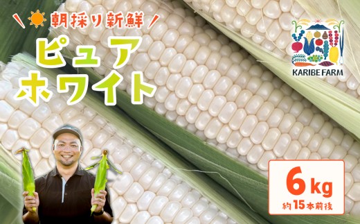 【 先行予約 】 下妻産朝採りとうもろこし 約6kg （ ピュアホワイト ）【 先行予約：2027年6月下旬～順次発送予定 】【 とうもろこし トウモロコシ とうきび 甘い スイーツ デザート コーン 人気 野菜 新鮮 おすすめ 】[SZR]