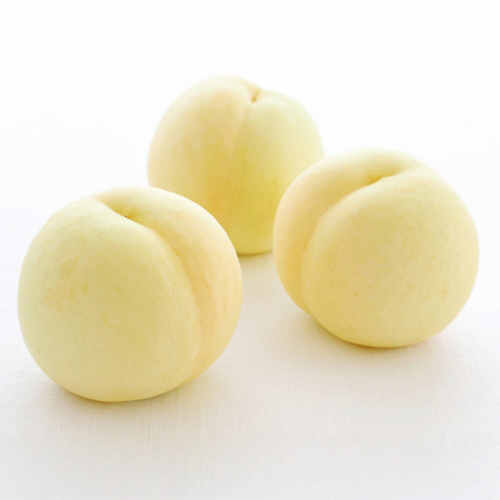 【ふるさと納税】桃 2026年 先行予約 清水 白桃 ＜選べる内容量＞ 6玉（1玉250g以上）・6玉（1玉300g以上）・8玉（1玉200g以上） 化粧箱入り もも 岡山県産 フルーツ 果物 ギフト 贈答用 岡山県 倉敷市 送料無料 【2026年7月下旬～8月上旬迄順次発送予定】