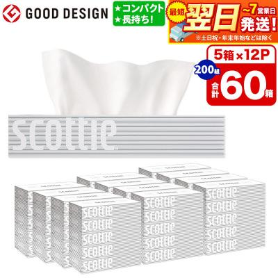 ふるさと納税 秋田市 ティッシュ スコッティ ティシュー 5箱×12パック|15_nsc-051201
