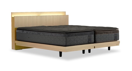 フランスベッド テレス02C 脚付きタイプ シングル（フレームのみ）S-229