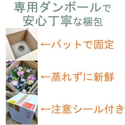 ふるさと納税 北上市 季節の花束ミディアム |  | 01