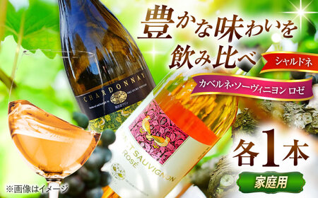 【家庭用】飲み比べセット カベルネロゼ×シャルドネ 750ml×各1本 計2本 ワイン お酒 ぶどう 島根県雲南市/有限会社奥出雲葡萄園[AICS087]