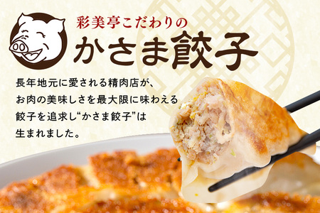 彩美亭 かさま 餃子 常陸の輝き・ローズポークセット 100個 HV-009