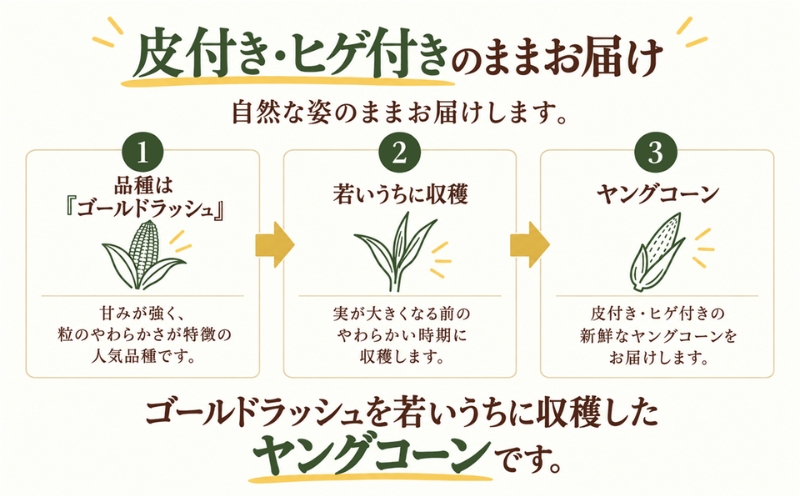 【2027年 先行予約】もぎたて発送！山梨県産 ヤングコーン 50本【栄養たっぷりヒゲ付き！】 ||  炭野菜 野菜 とうもろこし 間伐材 炭 肥料 SDGs 炭香ファーム ヤングコーン