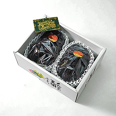 【岡山県産】みずみずしくジューシー大粒 ニューピオーネ 2房セット (1～1.5kg)【配送不可地域：離島】