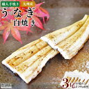 【ふるさと納税】＜職人手焼き九州産うなぎ 白焼き3尾（6切れ）計390g前後＞ ※入金確認後、翌月末迄に順次出荷します。ウナギ 鰻 宮崎県 高鍋町【冷凍】