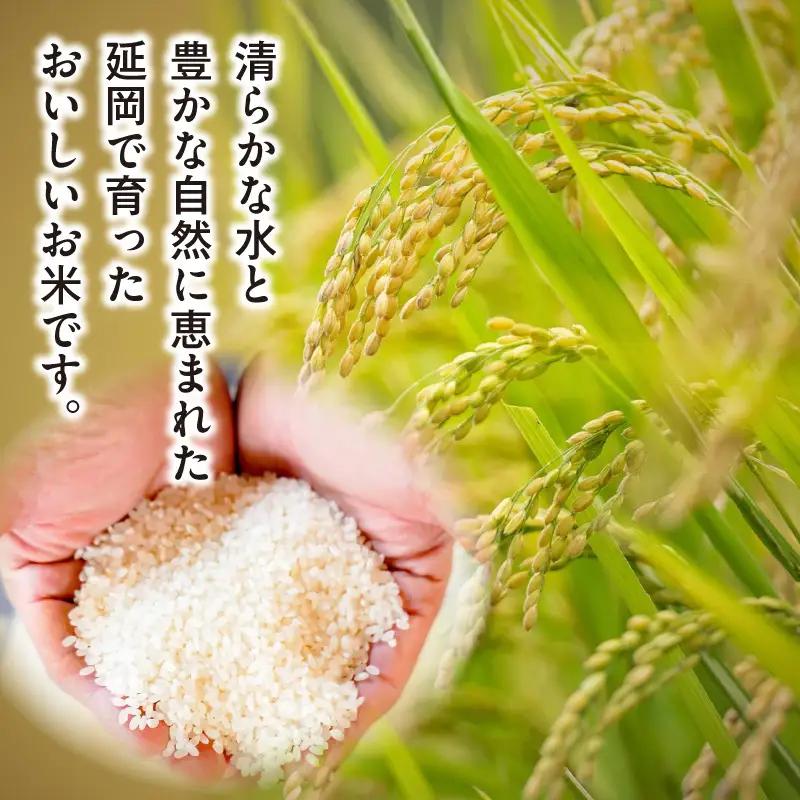 延岡産ヒノヒカリ（無洗米）5kg 3ヶ月定期便 N0218-YE134