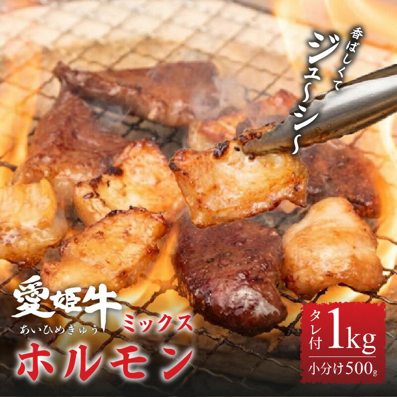 【ふるさと納税】 愛姫牛タレ漬けミックスホルモン | 焼肉 バーベキュー BBQ ホルモン 冷凍 セット 愛媛県産 簡単調理 ご当地グルメ 愛媛県 松山市