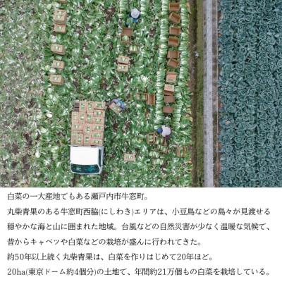 ふるさと納税 瀬戸内市 瀬戸内牛窓産 白菜 約15kg(5〜6玉)[No.5735-1029] |  | 01